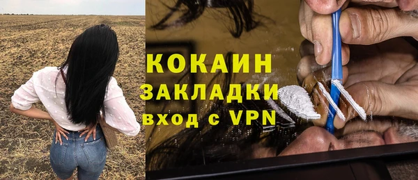 индика Балахна