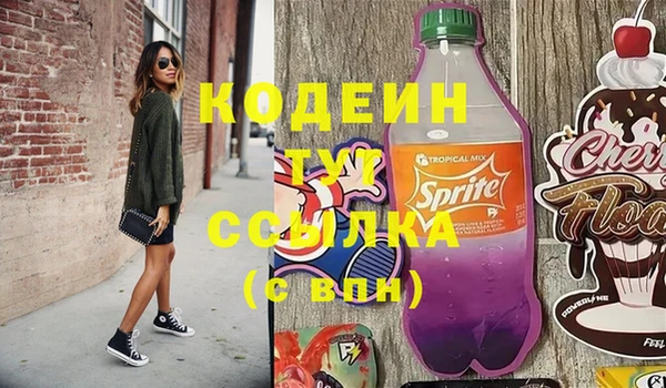 индика Балахна