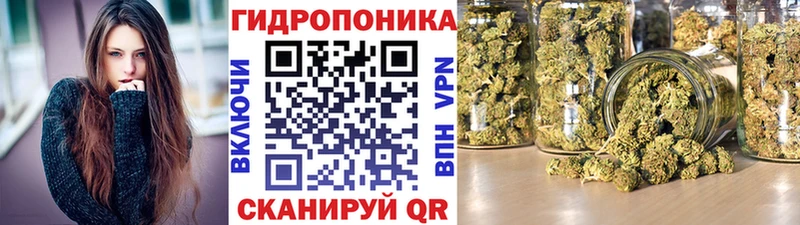 MEGA зеркало  Вольск  Каннабис планчик 
